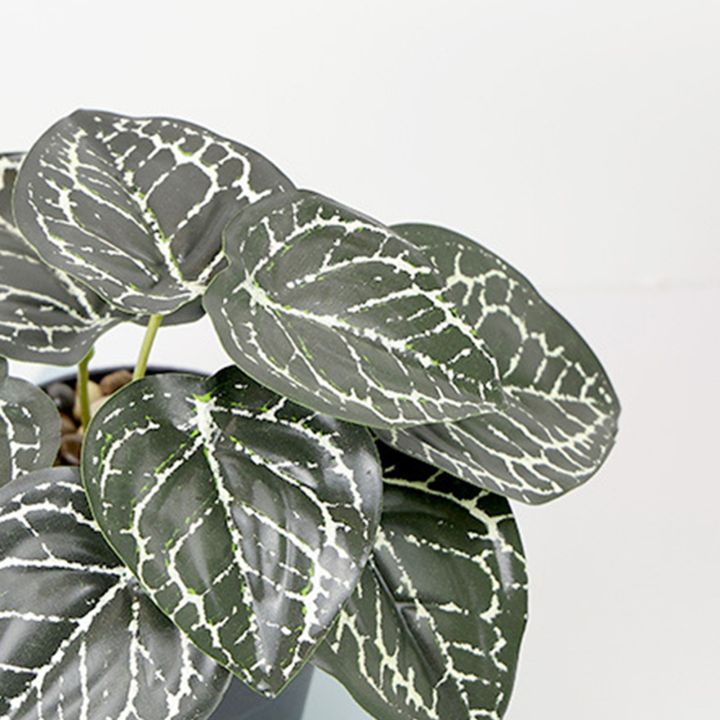 Ethereon%20Home%20Decor%20Artificial%20Plant%20Realistic%20Artificial%20Potted%20Plant%20No%20Watering%20Needed%20Small%20Home%20Decor%20Reusable%20Green%20Plant%20for%20Living%20Room%20Buyers'%20Favorite%20Artificial%20Indoor%20Plant%20-%20Image%202