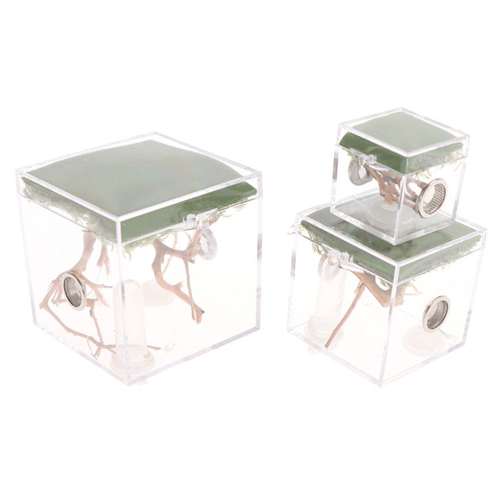 Black%20Widow%20Spider%20Small%20Insect%20Terrarium%20Transparent%20Reptile%20Breeding%20Box%20-%20Image%207