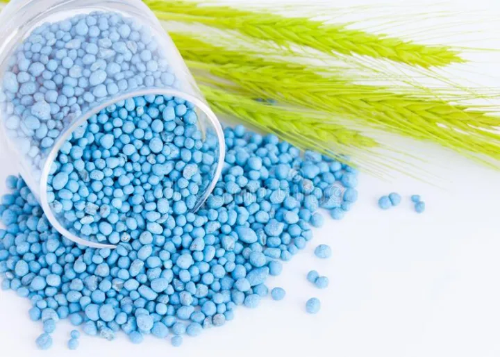 Blue%20Granular%20Fertilizer%20Grouting%20Formula%201kg%20Nil%20keta%20pohora%20-%20Image%202