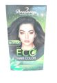 Dreamron No PPD Non- Allergic Semi Permanent Herbal ECO Hair Color (15gX4=60g). 