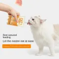 Cat Wet Food Nutrition Bars Kitten Weight Gain Snacks Tuna Chicken Pumpkin Flavor Pet Cleaning Teeth Supplement Snacks Cat Care. 
