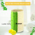 Natural Loofah With Wooden Handle Back Scrubber Exfoliating Bath Shower Sponge. 