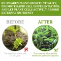 【ZOSR】Fertilizer Enhancer Blend 50ml Root Enhancer Supplement Promotes Rooting Fast Growing Garden Supplies for Flower Plant Sapling Fruit Tree. 