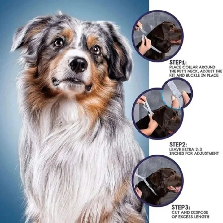 New%2038/70CM%20Pet%20Anti%20Flea%20Ticks%20Antiparasitic%20Cats%20Collar%20Dog%20Protection%20Retractable%20Collars%20For%20Puppy%20Cat%20Large%20Dogs%20Accessorie%20-%20Image%203