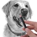 Smooth Writing Sketch Pencil Set 4B 5B 6B 7B 8B 10B 12B 14B Graphite Pencil Details Highlight Professional Drawing Pencil. 