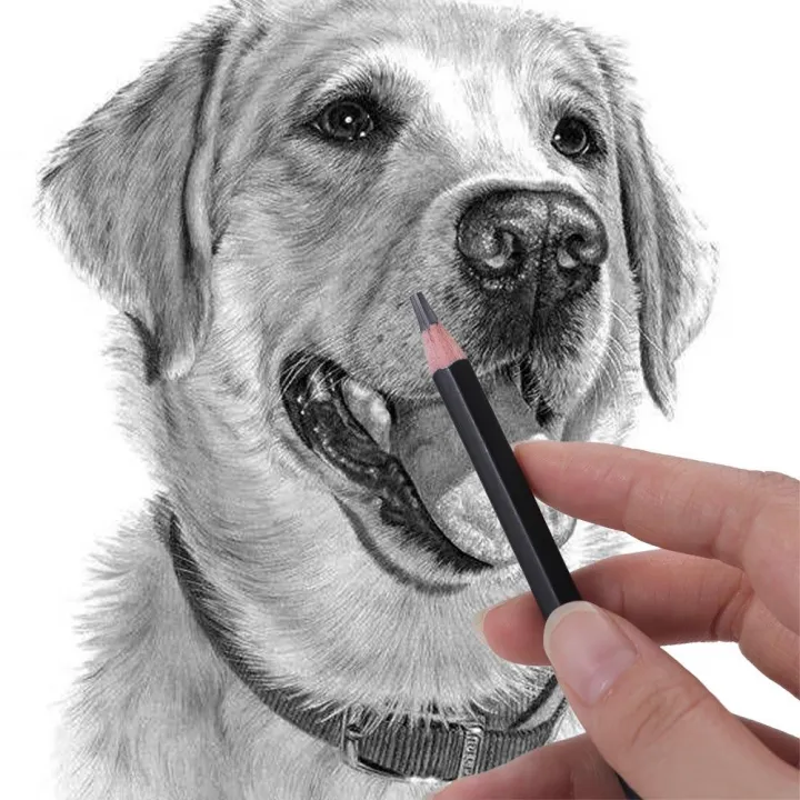 Smooth%20Writing%20Sketch%20Pencil%20Set%204B%205B%206B%207B%208B%2010B%2012B%2014B%20Graphite%20Pencil%20Details%20Highlight%20Professional%20Drawing%20Pencil%20-%20Image%207