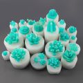 Mix Style Succulent Plants Candle Silicone Mold DIY Resin Cupcake Chocolate Epoxy Sugar Clay Mould.