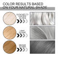 EELHOE Gray Hair Dye Long Lasting Color Professional Hair Coloring Permanent Punk Style Natural Plant Dye Hair Dying Cream 80ml. 