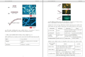 Jeewa vidyawa 5ii-10 Biology Resource Book (G13) sinhala medium (Unit 5ii-10) published by National Education Institute (NIE) 2020 edition. 