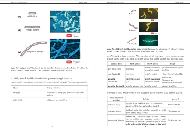 Jeewa%20vidyawa%205ii-10%20Biology%20Resource%20Book%20(G13)%20sinhala%20medium%20(Unit%205ii-10)%20published%20by%20National%20Education%20Institute%20(NIE)%202020%20edition%20-%20Image%205