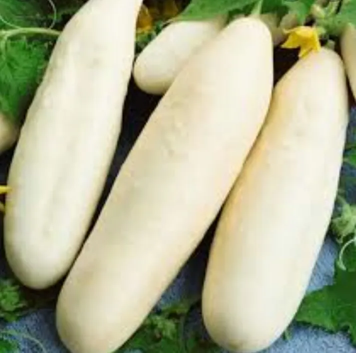 Cucumber%20/%20Pipincha%20Seeds%20For%20Home%20Garden%20-%20Image%206