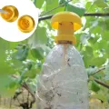 【ZOSR】In Stock Brand New Fruit Fly Trap Killer Plastic Geel Drosophila Val Fly Catcher Pest Insect Control Voor Home Boerderij Boomgaard 6*6*2 Cm. 