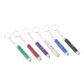 Mini Flashlight Infrared Laser Key Ring Pendant Teaching Pen Laser Cat Funny Stick. 