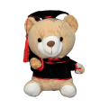 Graduation Teddy Bear 22cm Plush Stuffed Animal Stuffed Animal Bear with Graduation Hat, Diploma and Degree , Graduation Preschool Kindergarten Gift for Friend, Relatives, Kids. 