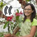 100Pcs Plant Benders for Low Stress Training, Plant Training Clips, Plant Supports Control the Growth of Plants. 