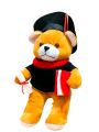 Graduation Teddy Bear. 