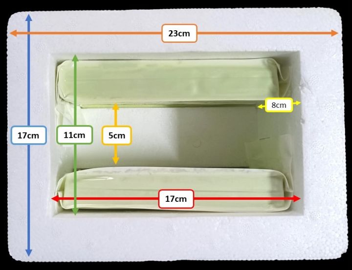 Rigiform%20(styrofoam)%20Box%20w/Blue%20Ice%20and%20cardboard%20box%20(24x17.5x17.5%20cm)%20-%20Image%202