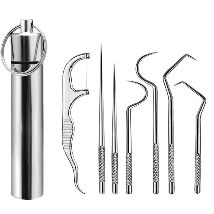 KOSKOE Stainless Steel Toothpick Set Tooth Flossing Reusable Toothpicks Portable Toothpick Floss Teeth Cleaner Oral Cleaning