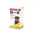 Vetzyme B+E (100 tablets). 