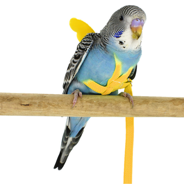 BETOP%20Adjustable%20Pet%20Parrot%20Harness%20Leash%20Anti-Bite%20Outdoor%20Flying%20Training%20Rope%20for%20Small%20Medium%20Parrot%20Macaw%20Cockatiel%20Budgie%20Strap%20Bird%20Supplies%20-%20Image%205