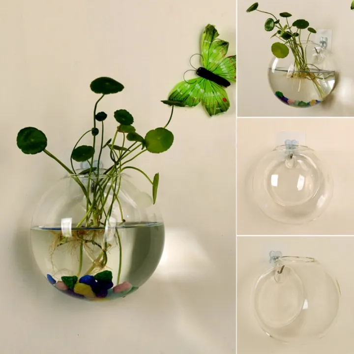 Potted Fish Transparent Glass Vase Wall Hanging Hydroponic Terrarium Fish Tanks ...