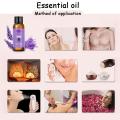 30ml Plant Essential Oils Aromatherapy Lavender Essence Oil Natural Relax Massage Oils. 
