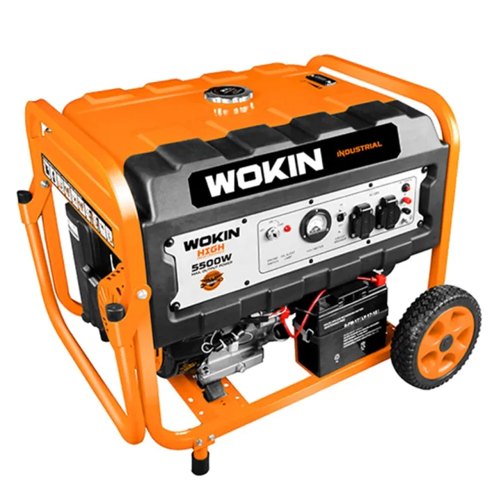 WOKIN Gasoline Generator 5.5kw