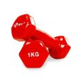 Dumbbell - 1kg (1Piece). 