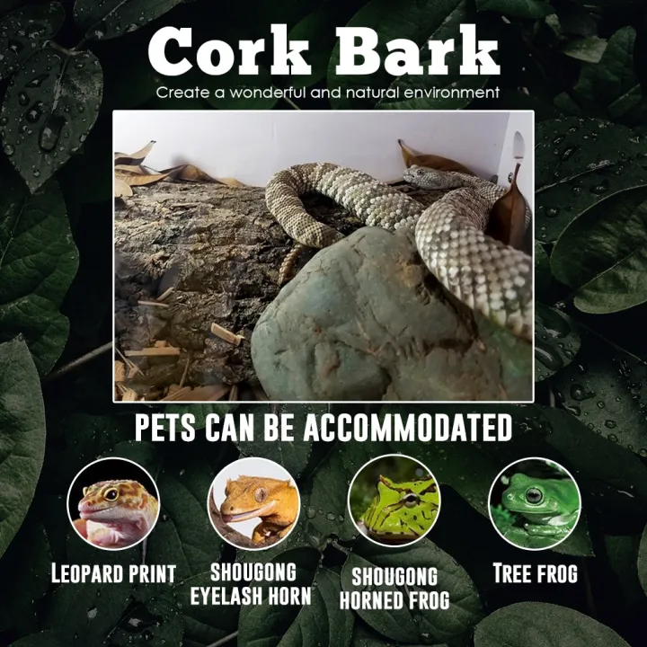 Natural%20Reptile%20Bark%20Cork%20Bark%20Hide%20for%20Isopods%20-%20Reptiles%20Exotic%20Pets%20Terrariums%20-%20Image%209