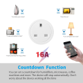 20A Smart Wi-Fi Socket plug with Energy Monitoring. 