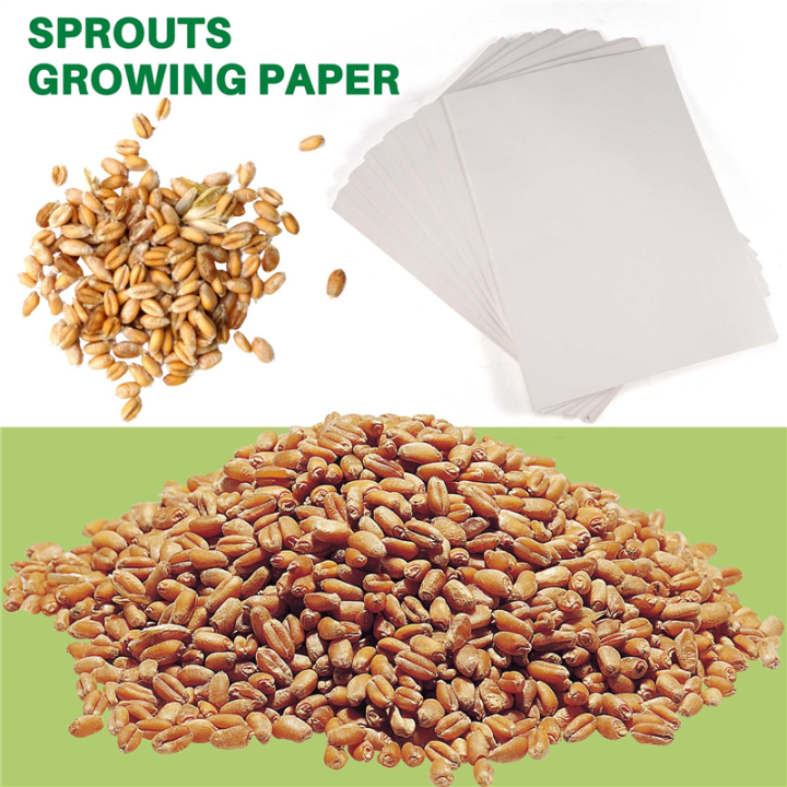 Sprout Mini Paper 200 Sheets of Nursery Paper Sprout Vegetable Planting Paper 18X26.6cm ...