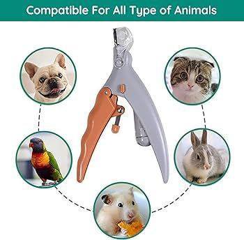 Pet Comfy Dogs’ (pcdc) Illuminated Nail Clippers