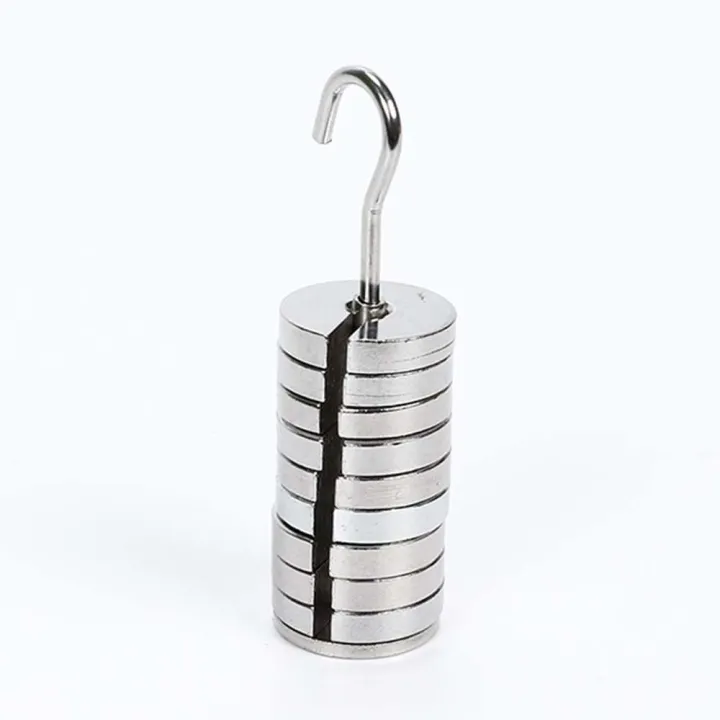 Mass Set Premium Chromium-Plated Lab Slotted Mass Set Total 100g 10g Each Metal ...