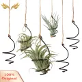 SuperRide Small Swirl Air Plant Container Adjustable Swirl Air Plant Holder Set for Home Office Garden Decor Pack of 6 Metal Hanging Tillandsia Container Rot Prevention Plant Stand. 