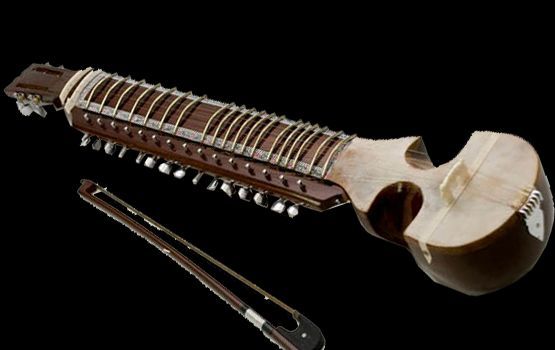 Professional Indian Esraj with Horse Hair Bow, Rosin & Carry Bag | Traditional Classical String Instrument for Devotional, Hindustani & Folk Music | Premium Wooden Body Esraj with Smooth Tuning Pegs & Rich Resonance Sound