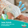 Pampers Pants Large 42s (9 - 14 Kg) Lotion With ALOE VERA. 