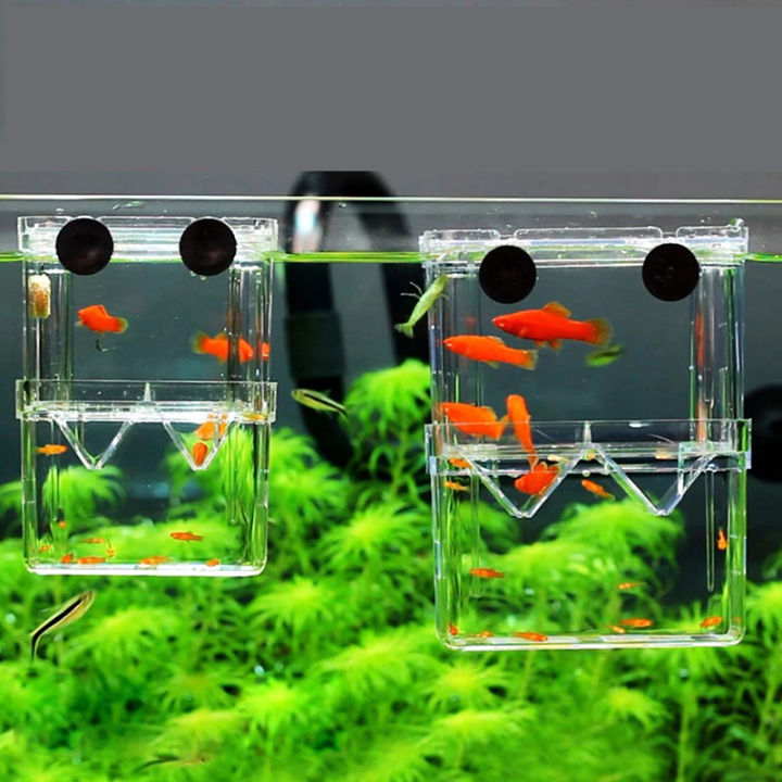 Double-Deck%20Clear%20Fish%20Breeding%20Isolation%20Box%20Aquarium%20Fish%20Tank%20Hatching%20House%20Sunlight%20Mall%20-%20Image%203