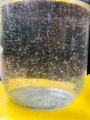 Moina culture for Little fish. 
