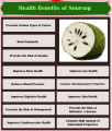 Soursop Fruit Powder (Graviola Fruit Powder)  - 100g. 
