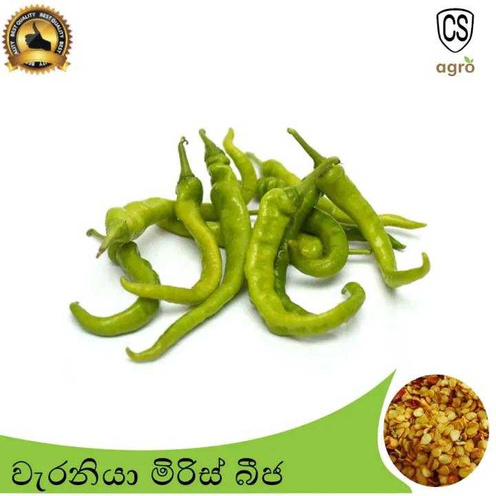 Chilli%20Waraniya%20Seeds%20Miris%20Waraniya%20Beeja%200.5g%20Home%20Gardening%20Agriculture%20-%20Image%203