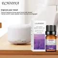 10ml Essential Oil Leakproof Soap Made Mild Water Soluble Rose Essential Fragrance for Bedroom. 