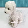 【wholesle668 Store】Waterproof Transparent Raincoats XS-XL Dog Spring Rain Coats Light Clothes Pet Accessories Puppy Rain. 