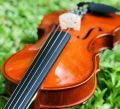 Supreme Lark Violin 05 Years Warranty - Beginners, Kids & Adults - Beginner Kit For Student w/Hard Case, Rosin, Bow - Starter Violins, Wooden Stringed Musical Instruments. 