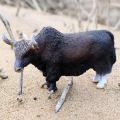 【Wildfolk Studio】Bull OX Yak Figurine PVC Model Table Decor Education Bauble. 