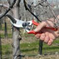 Steel Agriculture Garden Plant Branch Cutting Scissors garden scissors tool pruning shears. 