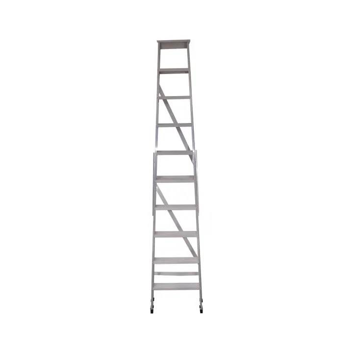 Step%20Ladder%2010ft%20-%20Image%202