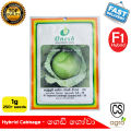 Cabbage F1 Hybrid Japan AS-39 Seeds 99% 1g Gedi Gowa Gardening Agriculture Onesh. 