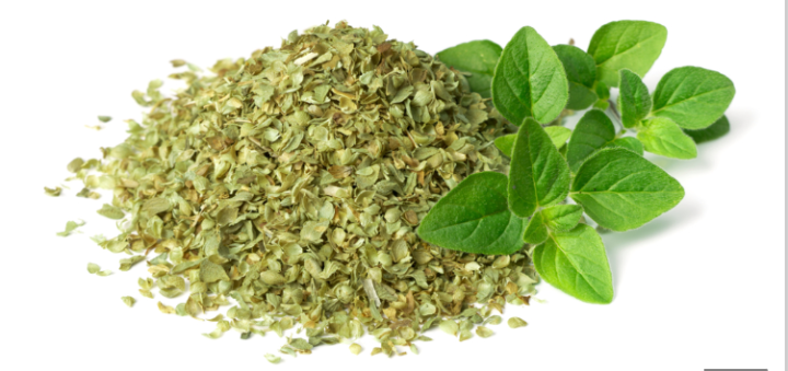 Oregano by Nutty Frutyss