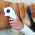 New Flea Doctor Electric Comb Electric Flea Comb Head Lice Removal Flea Controller Killer For Pet Dogs Cats Cleaning. 