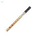 Traditional Penny Whistle Music Instrument Flute Whistling for Kids Beginners. 
